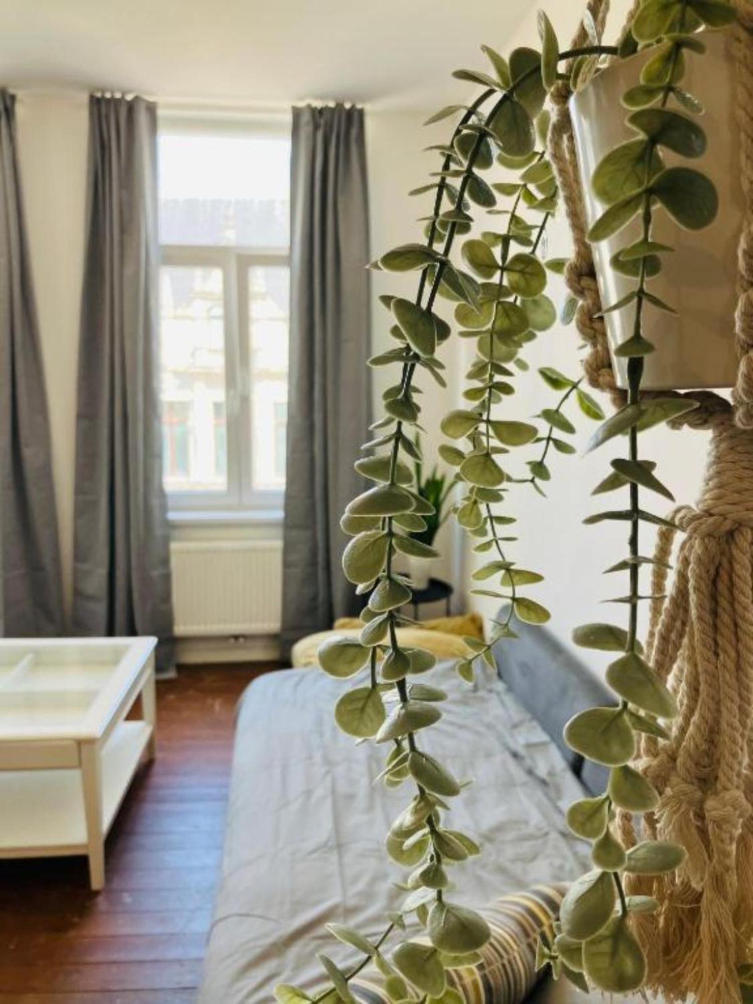 Bnb Suikernest Antwerpia Zewnętrze zdjęcie